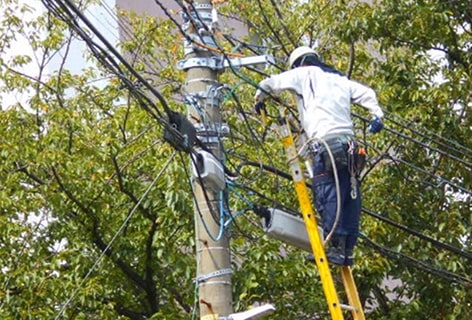 ハシゴで電線作業中
